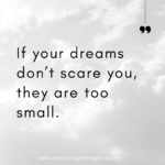 If Your Dreams don't Scare You, They are too Small